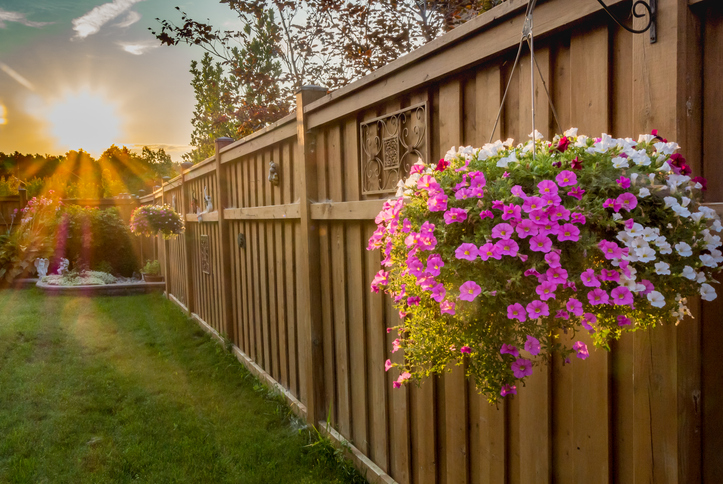 Blend your fence into your garden!